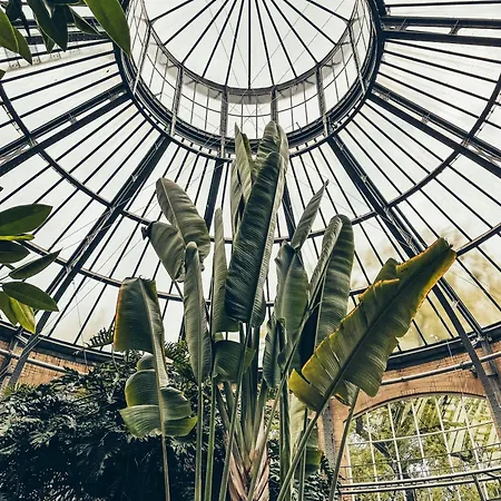 Nassau Canal - In The Heart Of The Affittacamere