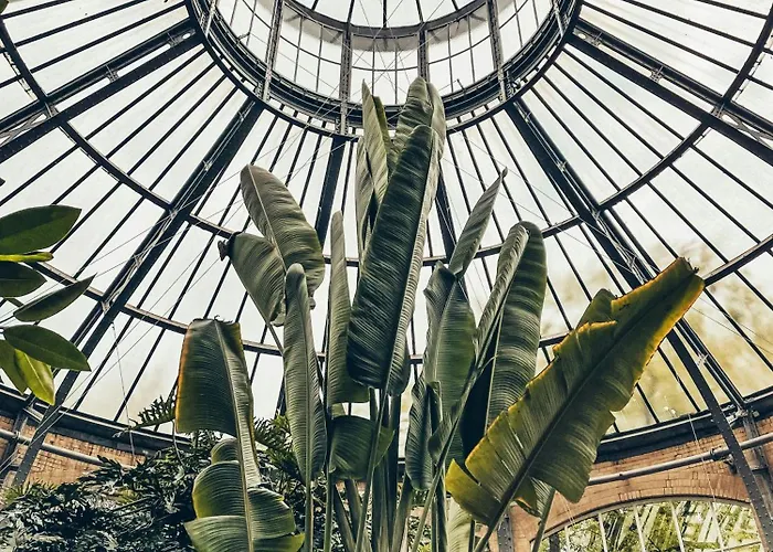 Nassau Canal - In The Heart Of The Gasthuis