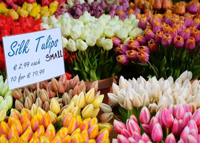 Nassau Canal - In The Heart Of The 招待所 3*